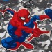 Prix De Rêve ★ nouveautes , nouveautes Sweatshirt style camouflage Spider-Man pour enfants  - 1